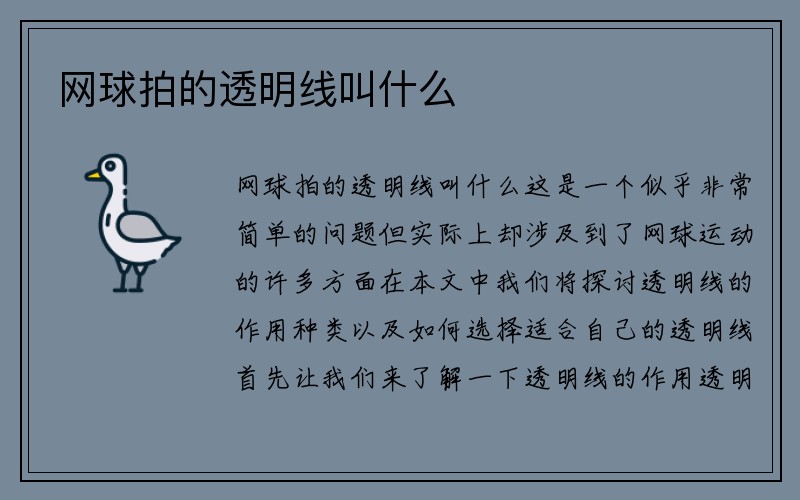 网球拍的透明线叫什么