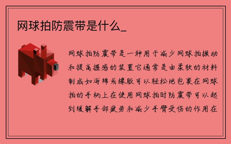 网球拍防震带是什么_