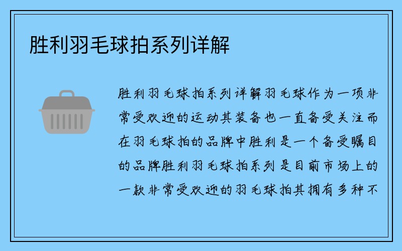 胜利羽毛球拍系列详解